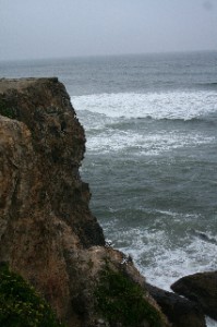 Pacific Coastline