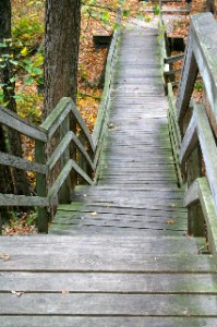 Wooden Stairs