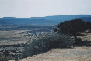 The desert near ABQ