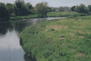 The Boyne River near Dublin