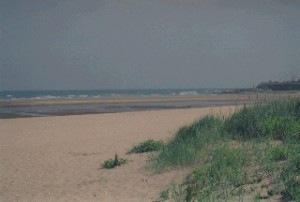The beach at Malahyde