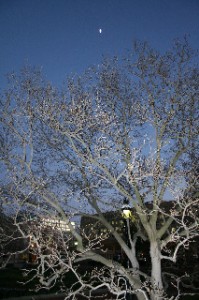 A view of the moon from one of the parks