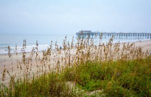 The Garden City Pier on a misty morning