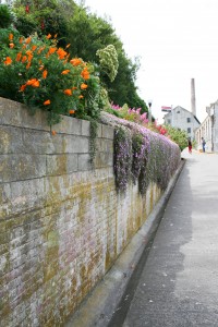 AlcatrazFlowerwall