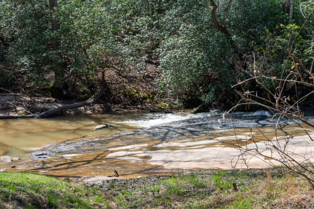 A view of a rocky river