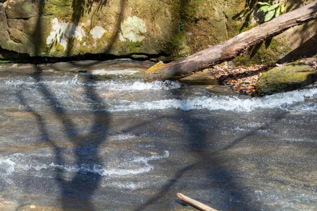 View of tree shadows across a flowing river